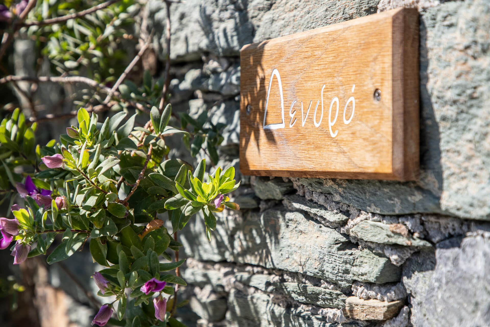 hotel-folegandros-suite-dendro-09