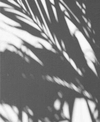 leaves background