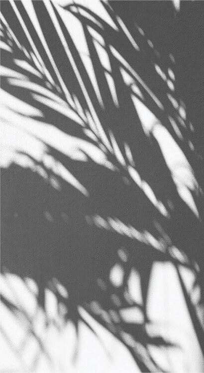 leaves background